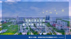 引进项目339个！武清开发区招商引资出实招 奋力冲刺“全年红”